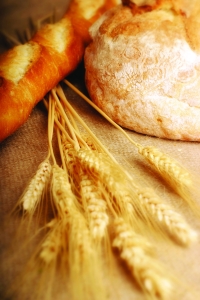 Breads